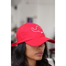 Trunks Up dad hat  red  cap baseball  Delta Sigma Theta inspired Diva DST  eb-45685462